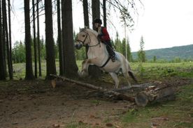 Sommeravslutning med feltrittshinder